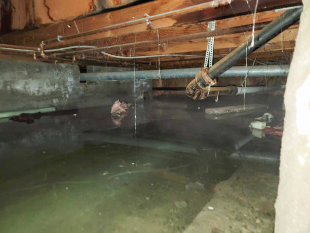 Best Emergency water damage restoration  in Quincy, IL
