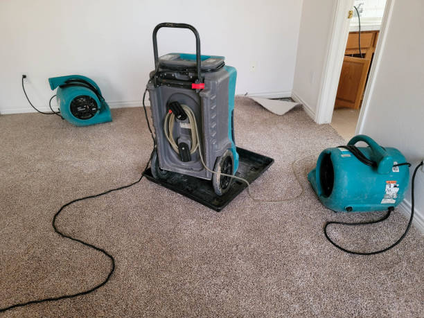 Best Basement water damage restoration  in Quincy, IL