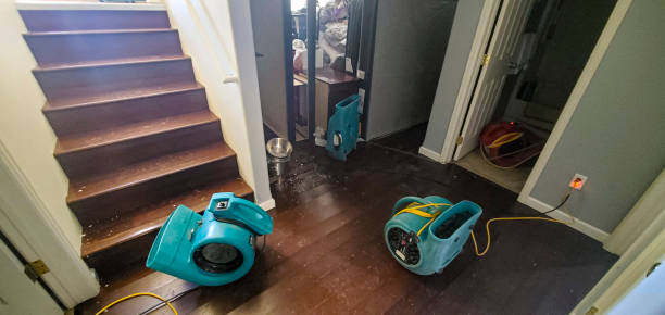 Best Sewage cleanup and water damage restoration  in Quincy, IL