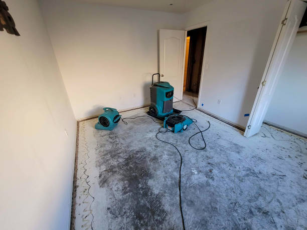 Best 24-hour water damage restoration  in Quincy, IL