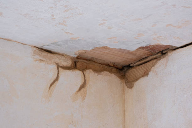 Best Flooded house restoration  in Quincy, IL