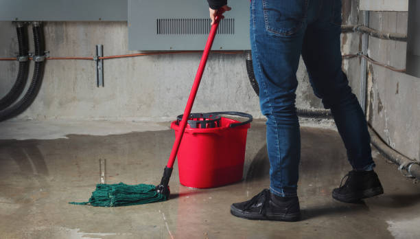  Quincy, IL Water damage restoration Pros