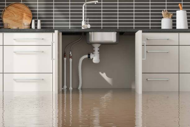 Best Water damage contractors near me  in Quincy, IL