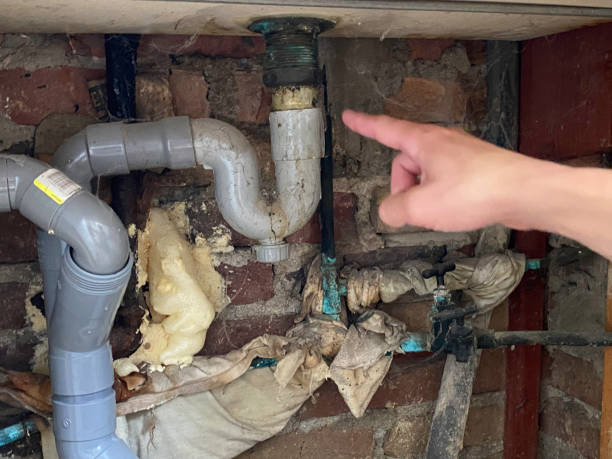 Best Ceiling water damage repair  in Quincy, IL