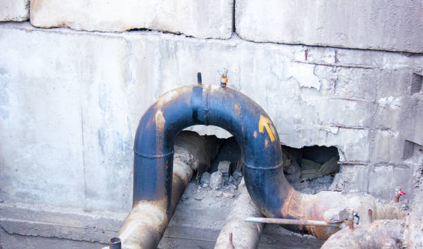 Best Flood restoration services  in Quincy, IL