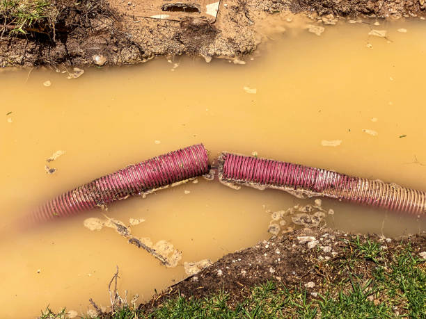 Best Local water damage restoration  in Quincy, IL