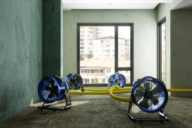 Best Fire Damage Restoration  in Quincy, IL